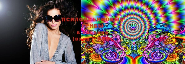 mix Алексин