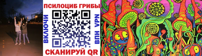 Псилоцибиновые грибы Psilocybe  где можно купить наркотик  гидра рабочий сайт  Крым 